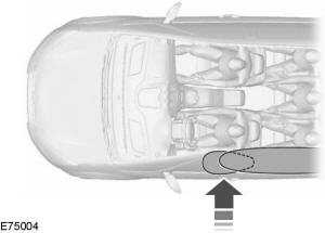 Los airbags se encuentran encima de las ventanillas delanteras y traseras.