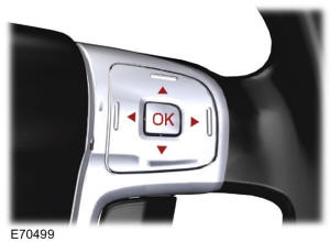 1. Pulse el botón de la flecha a la derecha en el volante para entrar en el menú